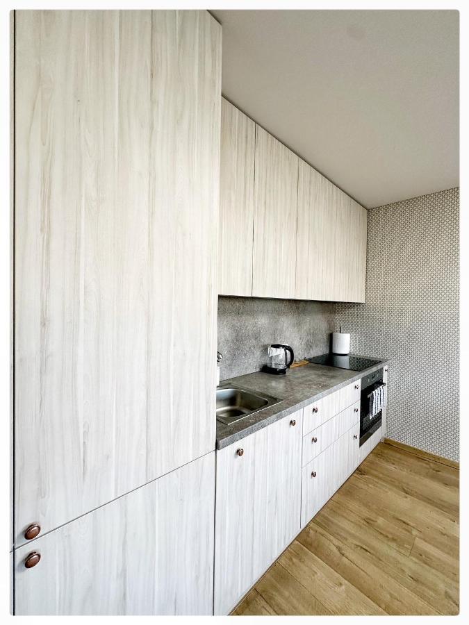 Apartaments In The City Centre Kaunas Exterior photo