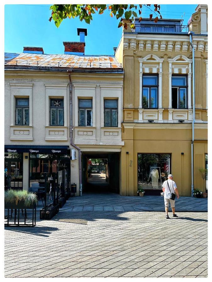 Apartaments In The City Centre Kaunas Exterior photo